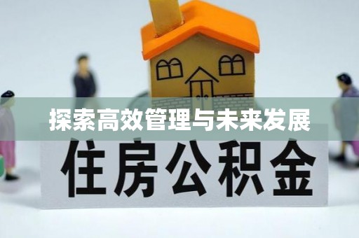 莱阳探索高效管理与未来发展