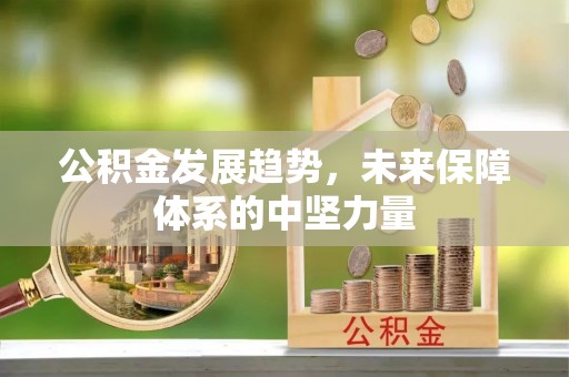 莱阳公积金发展趋势，未来保障体系的中坚力量